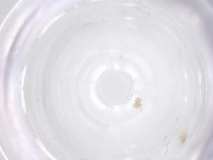  ( - CBG-B20155-A08)  @11 [ ] CreativeCommons - Attribution Share - Alike (2025) Centre for Biodiversity Genomics Centre for Biodiversity Genomics