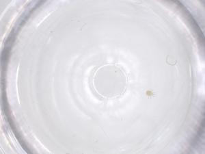  ( - CBG-B20155-A10)  @11 [ ] CreativeCommons - Attribution Share - Alike (2025) Centre for Biodiversity Genomics Centre for Biodiversity Genomics