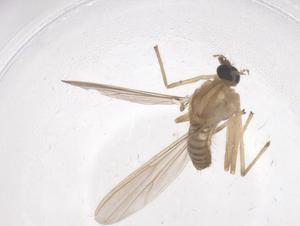  ( - CBG-B22464-D01)  @11 [ ] CreativeCommons - Attribution Share - Alike (2025) Centre for Biodiversity Genomics Centre for Biodiversity Genomics