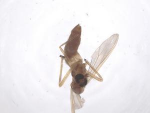  ( - CBG-B22504-F01)  @11 [ ] CreativeCommons - Attribution Share - Alike (2025) Centre for Biodiversity Genomics Centre for Biodiversity Genomics