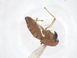  ( - CBG-B22505-H08)  @11 [ ] CreativeCommons - Attribution Share - Alike (2025) Centre for Biodiversity Genomics Centre for Biodiversity Genomics