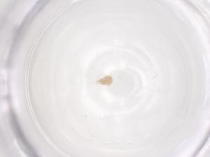  ( - CBG-B22506-H03)  @11 [ ] CreativeCommons - Attribution Share - Alike (2025) Centre for Biodiversity Genomics Centre for Biodiversity Genomics