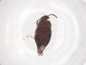  ( - CBG-B15328-H05)  @11 [ ] CreativeCommons - Attribution Share - Alike (2025) Centre for Biodiversity Genomics Centre for Biodiversity Genomics