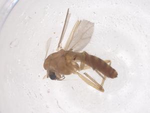  ( - CBG-B22410-F02)  @11 [ ] CreativeCommons - Attribution Share - Alike (2025) Centre for Biodiversity Genomics Centre for Biodiversity Genomics