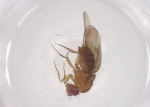  ( - CBG-B15848-D05)  @11 [ ] CreativeCommons - Attribution Share - Alike (2025) Centre for Biodiversity Genomics Centre for Biodiversity Genomics