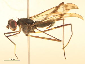  ( - CBG-B16500-G04)  @11 [ ] CreativeCommons - Attribution Share - Alike (2025) CBG Photography Group Centre for Biodiversity Genomics