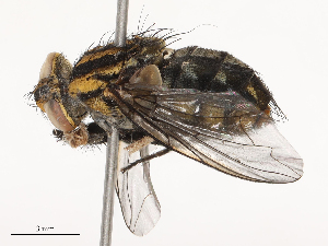  ( - CBG-B24003-F02)  @11 [ ] CreativeCommons - Attribution Share - Alike (2025) CBG Photography Group Centre for Biodiversity Genomics