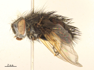  ( - CBG-B24024-D04)  @11 [ ] CreativeCommons - Attribution Share - Alike (2025) CBG Photography Group Centre for Biodiversity Genomics