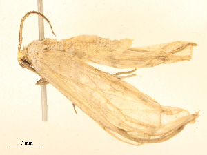  ( - CBG-B24041-F07)  @11 [ ] CreativeCommons - Attribution Share - Alike (2025) CBG Photography Group Centre for Biodiversity Genomics