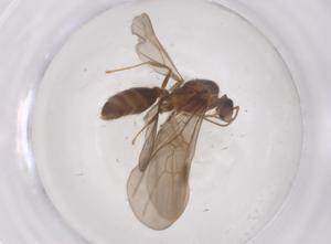  ( - CBG-B24114-A10)  @11 [ ] CreativeCommons - Attribution Share - Alike (2025) Centre for Biodiversity Genomics Centre for Biodiversity Genomics