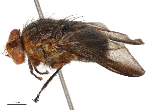  ( - CBG-B24178-D07)  @11 [ ] CreativeCommons - Attribution Share - Alike (2025) CBG Photography Group Centre for Biodiversity Genomics