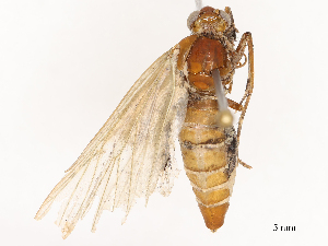  ( - CBG-B24178-H02)  @11 [ ] CreativeCommons - Attribution Share - Alike (2025) CBG Photography Group Centre for Biodiversity Genomics