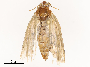  ( - CBG-B24178-H05)  @11 [ ] CreativeCommons - Attribution Share - Alike (2025) CBG Photography Group Centre for Biodiversity Genomics