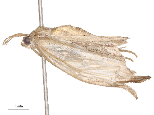  ( - CBG-B21975-A12)  @11 [ ] CreativeCommons - Attribution Share - Alike (2025) CBG Photography Group Centre for Biodiversity Genomics