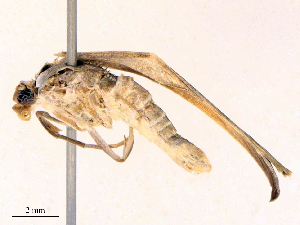  ( - CBG-B21976-H04)  @11 [ ] CreativeCommons - Attribution Share - Alike (2025) CBG Photography Group Centre for Biodiversity Genomics