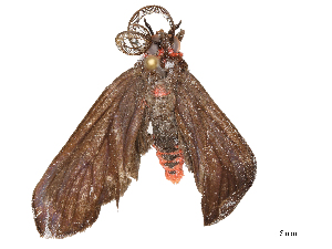  ( - CBG-B22363-C05)  @11 [ ] CreativeCommons - Attribution Share - Alike (2025) CBG Photography Group Centre for Biodiversity Genomics