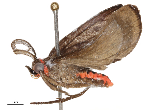  ( - CBG-B22363-F06)  @11 [ ] CreativeCommons - Attribution Share - Alike (2025) CBG Photography Group Centre for Biodiversity Genomics