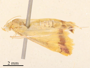  ( - CBG-B18108-C03)  @11 [ ] CreativeCommons - Attribution Share - Alike (2025) CBG Photography Group Centre for Biodiversity Genomics