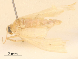  ( - CBG-B18108-F10)  @11 [ ] CreativeCommons - Attribution Share - Alike (2025) CBG Photography Group Centre for Biodiversity Genomics