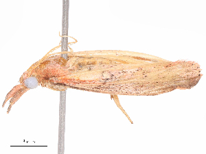  ( - CBG-B19422-E03)  @11 [ ] CreativeCommons - Attribution Share - Alike (2025) CBG Photography Group Centre for Biodiversity Genomics