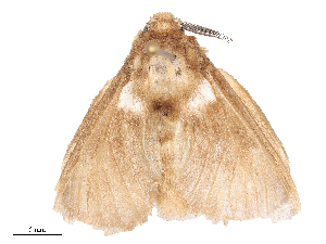  ( - CBG-A53640-B01)  @11 [ ] CreativeCommons - Attribution Share - Alike (2024) CBG Photography Group Centre for Biodiversity Genomics