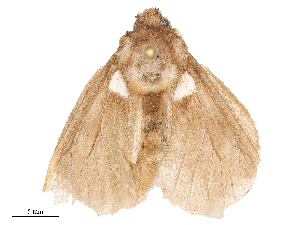  ( - CBG-A53640-E09)  @11 [ ] CreativeCommons - Attribution Share - Alike (2024) CBG Photography Group Centre for Biodiversity Genomics