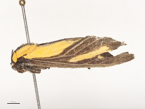  ( - CBG-A53641-C08)  @11 [ ] CreativeCommons - Attribution Share - Alike (2024) CBG Photography Group Centre for Biodiversity Genomics