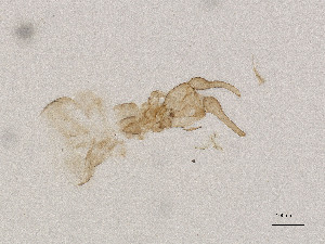  ( - CBG-A00841-A10)  @11 [ ] CreativeCommons - Attribution Share Alike (2025) CBG Photography Group Centre for Biodiversity Genomics