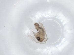  ( - CBG-A00841-D10)  @11 [ ] CreativeCommons - Attribution (2023) Centre for Biodiversity Genomics Centre for Biodiversity Genomics