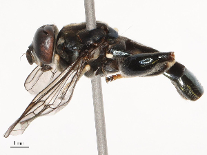  ( - CBG-B21791-G01)  @11 [ ] CreativeCommons - Attribution Share - Alike (2025) CBG Photography Group Centre for Biodiversity Genomics
