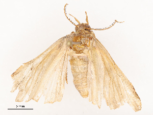  ( - CBG-B22879-F05)  @11 [ ] CreativeCommons - Attribution Share - Alike (2025) CBG Photography Group Centre for Biodiversity Genomics