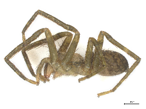  ( - CBG-B22923-H10)  @11 [ ] CreativeCommons - Attribution Share - Alike (2025) CBG Photography Group Centre for Biodiversity Genomics