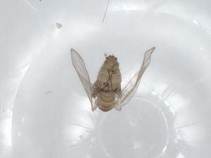  ( - CBG-A00848-F01)  @11 [ ] CreativeCommons - Attribution (2023) Centre for Biodiversity Genomics Centre for Biodiversity Genomics