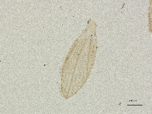  ( - CBG-A00856-E11)  @11 [ ] CreativeCommons - Attribution Share Alike (2025) CBG Photography Group Centre for Biodiversity Genomics