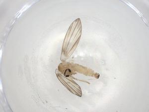  ( - CBG-A00895-E10)  @11 [ ] CreativeCommons - Attribution (2023) Centre for Biodiversity Genomics Centre for Biodiversity Genomics