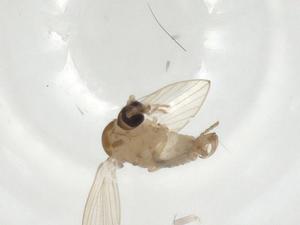  ( - CBG-A02345-E12)  @11 [ ] CreativeCommons - Attribution (2023) Centre for Biodiversity Genomics Centre for Biodiversity Genomics