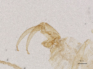  ( - CBG-A02345-E12)  @11 [ ] CreativeCommons - Attribution Share Alike (2025) CBG Photography Group Centre for Biodiversity Genomics