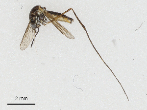  ( - CBG-A04482-H04)  @11 [ ] CreativeCommons - Attribution (2023) CBG Photography Group Centre for Biodiversity Genomics