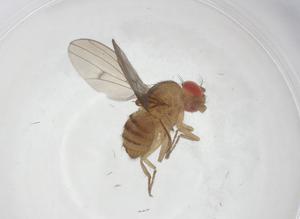  ( - CBG-A15368-A01)  @11 [ ] CreativeCommons - Attribution Share - Alike (2023) Centre for Biodiversity Genomics Centre for Biodiversity Genomics