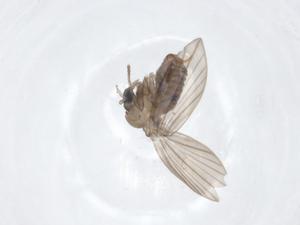  ( - CBG-A22539-E03)  @11 [ ] CreativeCommons - Attribution Share - Alike (2023) Centre for Biodiversity Genomics Centre for Biodiversity Genomics