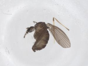  ( - CBG-A46397-E03)  @11 [ ] CreativeCommons - Attribution Share - Alike (2024) Centre for Biodiversity Genomics Centre for Biodiversity Genomics