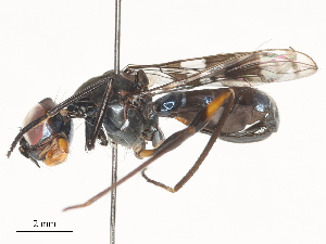  ( - CBG-A51891-E08)  @11 [ ] CreativeCommons - Attribution Share - Alike (2024) CBG Photography Group Centre for Biodiversity Genomics