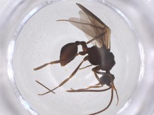  ( - CBG-B21990-E02)  @11 [ ] CreativeCommons - Attribution Share - Alike (2025) Centre for Biodiversity Genomics Centre for Biodiversity Genomics