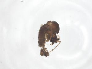  ( - CBG-B23102-H01)  @11 [ ] CreativeCommons - Attribution Share - Alike (2025) Centre for Biodiversity Genomics Centre for Biodiversity Genomics