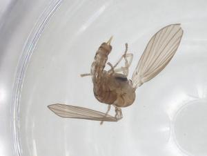  ( - CBG-A21400-H02)  @11 [ ] CreativeCommons - Attribution Share - Alike (2023) Centre for Biodiversity Genomics Centre for Biodiversity Genomics