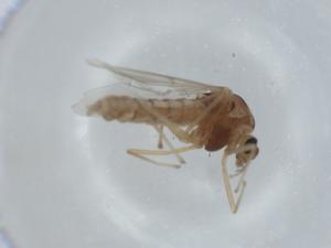  ( - BIOUG56535-G10)  @11 [ ] CreativeCommons - Attribution (2020) Centre for Biodiversity Genomics Centre for Biodiversity Genomics