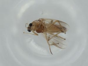  ( - BIOUG57302-C01)  @11 [ ] CreativeCommons - Attribution (2020) Centre for Biodiversity Genomics Centre for Biodiversity Genomics