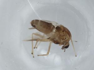  ( - BIOUG57303-H03)  @11 [ ] CreativeCommons - Attribution (2020) Centre for Biodiversity Genomics Centre for Biodiversity Genomics