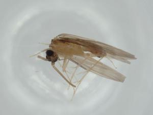  ( - BIOUG57647-E08)  @11 [ ] CreativeCommons - Attribution (2020) Centre for Biodiversity Genomics Centre for Biodiversity Genomics