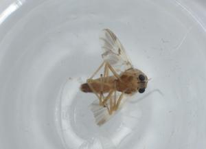  ( - BIOUG60308-A05)  @11 [ ] CreativeCommons - Attribution (2020) Centre for Biodiversity Genomics Centre for Biodiversity Genomics